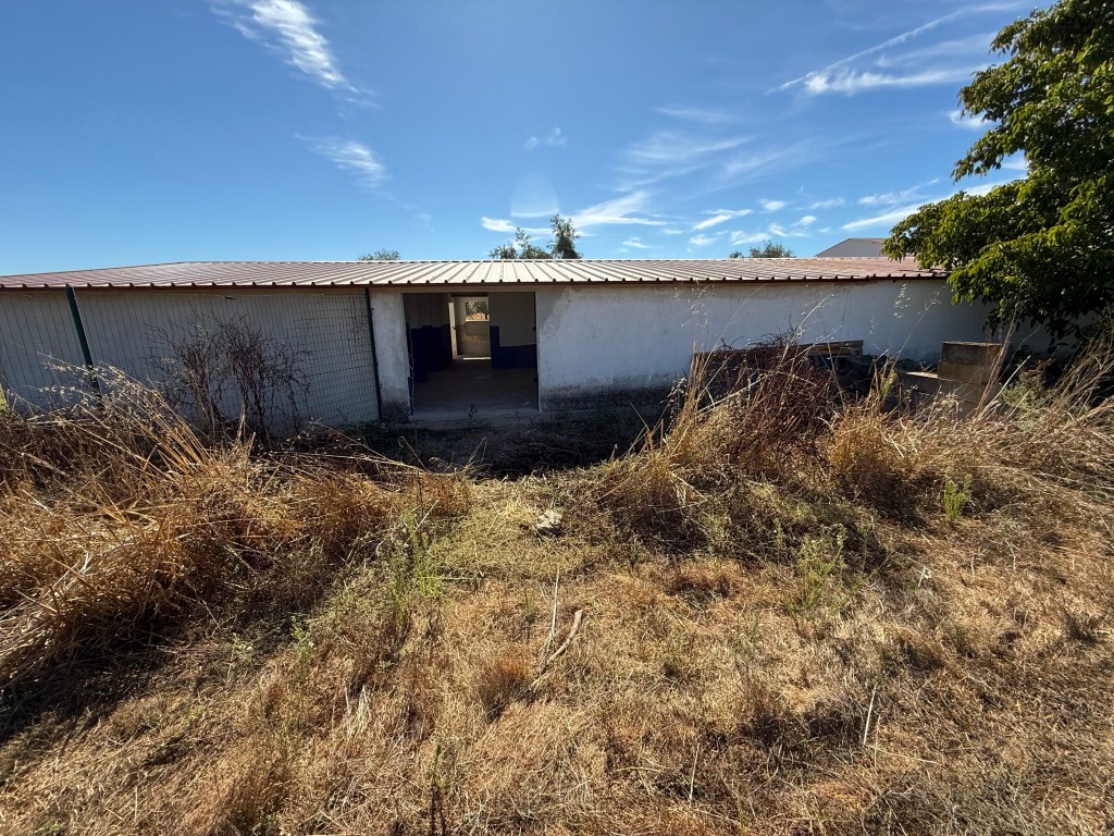 Een uitzicht op een verwaarloosd gebouw met een overgroeide tuin, onder een blauwe lucht met enkele wolken.